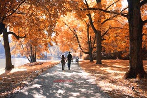普雷斯顿北端客场失利，难奏胜机